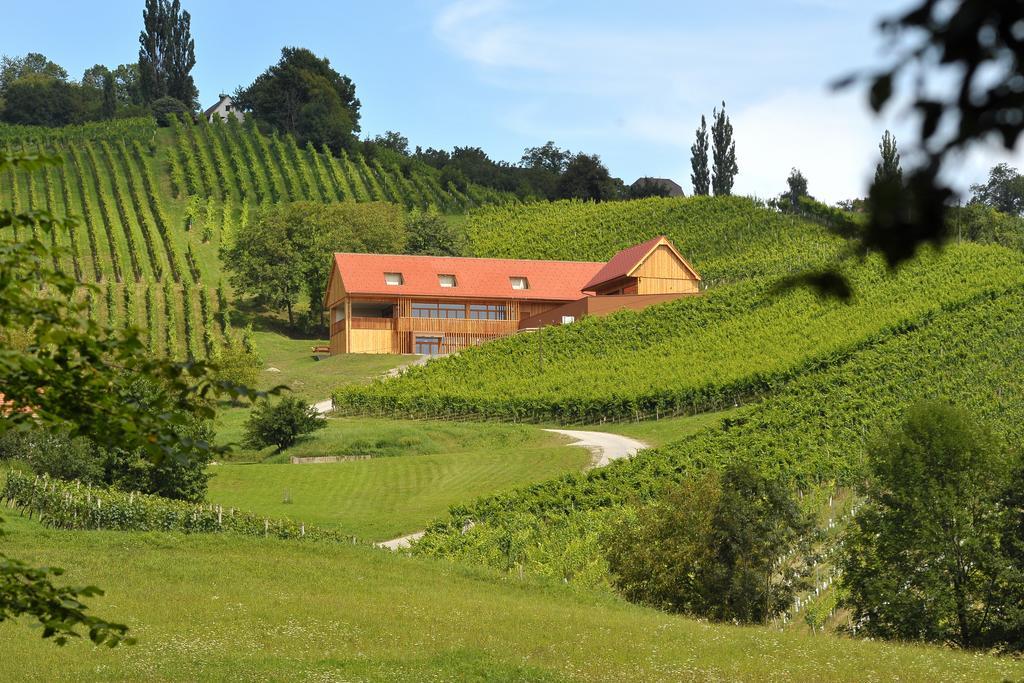 Vino Valdhuber Apartments Svecina Exteriör bild